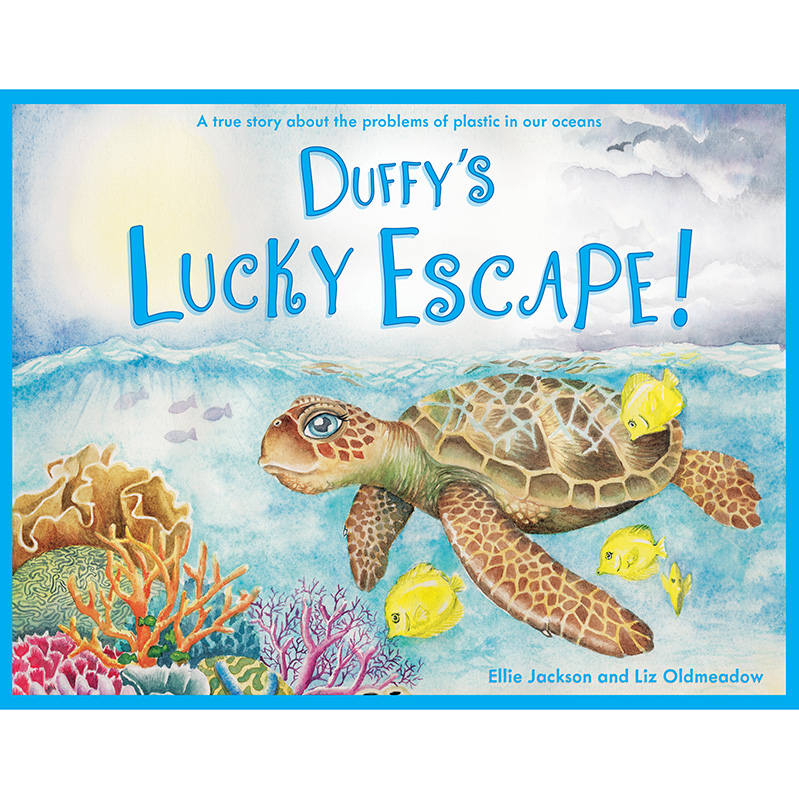 Duffy the Sea turtle