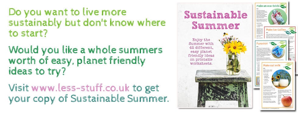 sustainable summer workbook description
