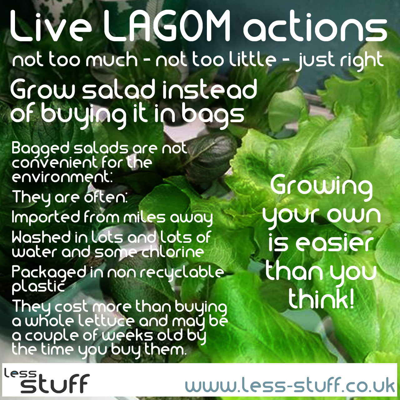 grow salad all year live lagom